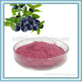 Natural Freeze Dried Certified Organic Blueberry Powder